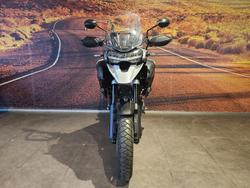 2023 Triumph Tiger 1200 GT Pro Tiger White