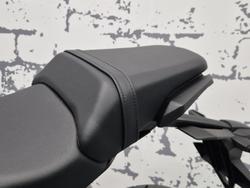 2024 Honda CB300R (CB300RA) CB300 Black