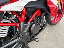 2024 BMW Motorrad G 310 R