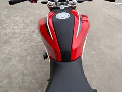 2024 BMW Motorrad G 310 R