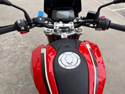 2024 BMW Motorrad G 310 R