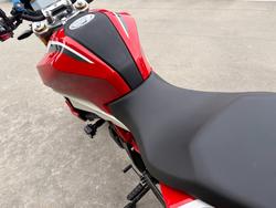 2024 BMW Motorrad G 310 R