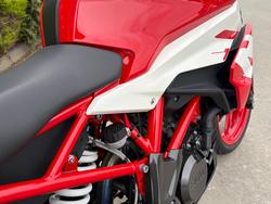 2024 BMW Motorrad G 310 R