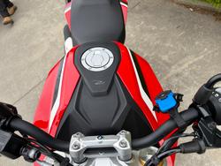 2024 BMW Motorrad G 310 R