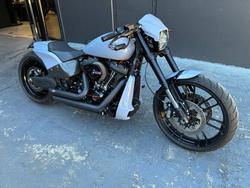 2019 HARLEY-DAVIDSON FXDRS FXDR (114) TT WHITE