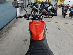 2024 HARLEY-DAVIDSON HD350-10 H-DX X350 Orange