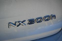 2019 Lexus NX 300h F Sport