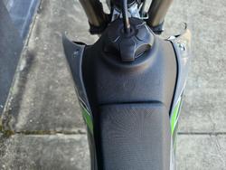 2025 Kawasaki KLX300R GREY