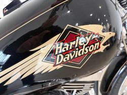1994 Harley-Davidson Springer Softail 80 (FXSTS) Softail Black