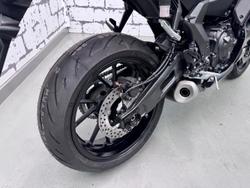 2025 Yamaha YZF-R7 HO YZF-R Black