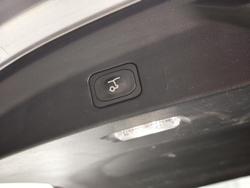 2024 Ford Everest Trend