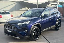 2025 Toyota RAV4 Cruiser