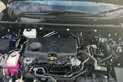 2025 Toyota RAV4 Cruiser