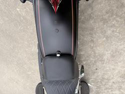 2008 HARLEY-DAVIDSON FLSTSB SOFTAIL CROSS BONES Black