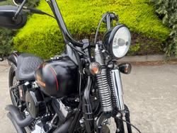 2008 HARLEY-DAVIDSON FLSTSB SOFTAIL CROSS BONES Black