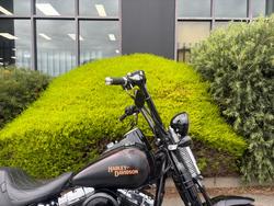 2008 HARLEY-DAVIDSON FLSTSB SOFTAIL CROSS BONES Black