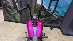 2013 Harley-Davidson Breakout 103 (FXSB) Softail Pink