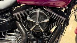 2013 Harley-Davidson Breakout 103 (FXSB) Softail Pink