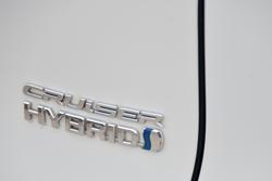 2021 Toyota RAV4 Cruiser