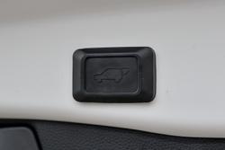 2021 Toyota RAV4 Cruiser