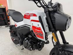 2026 CFMOTO XO PAPIO TRAIL White