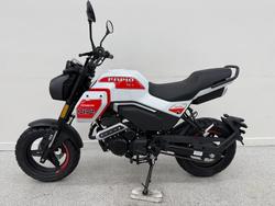 2026 CFMOTO XO PAPIO TRAIL White
