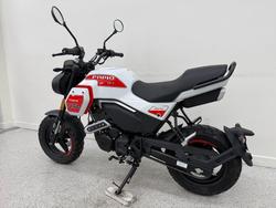 2026 CFMOTO XO PAPIO TRAIL White