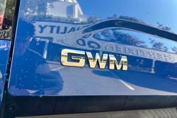 2021 GWM Ute Cannon