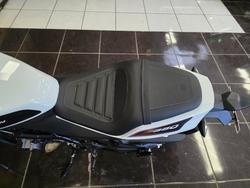 2024 HARLEY-DAVIDSON HD350-10 H-DX X350 SILVER