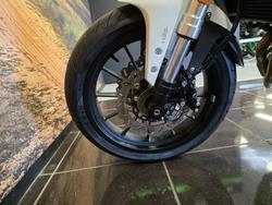 2024 HARLEY-DAVIDSON HD350-10 H-DX X350 SILVER