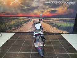 2024 HARLEY-DAVIDSON HD350-10 H-DX X350 SILVER