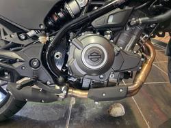 2024 HARLEY-DAVIDSON HD350-10 H-DX X350 ORANGE