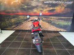 2024 HARLEY-DAVIDSON HD350-10 H-DX X350 ORANGE