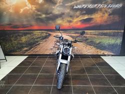 2024 HARLEY-DAVIDSON HD350-10 H-DX X350 WHITE