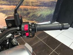 2024 HARLEY-DAVIDSON HD350-10 H-DX X350 SILVER