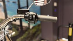2020 Harley-Davidson Deluxe 107 (FLDE) Softail White