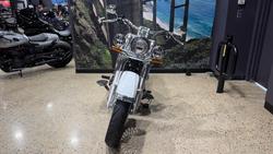 2020 Harley-Davidson Deluxe 107 (FLDE) Softail White