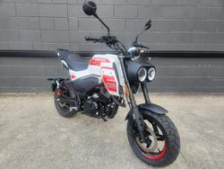 2025 CFMOTO XO PAPIO TRAIL NEBULA WHITE