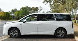 2023 LDV MIFA Executive