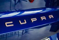 2025 CUPRA Terramar V