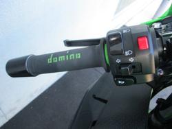 2025 Kawasaki NINJA 500 SE (LAMS) GREEN/KRT