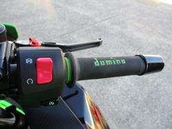 2025 Kawasaki NINJA 500 SE (LAMS) GREEN/KRT