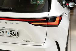 2022 Lexus NX 250