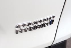 2019 Toyota RAV4 Cruiser