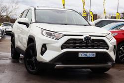 2019 Toyota RAV4 Cruiser