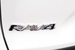 2019 Toyota RAV4 Cruiser