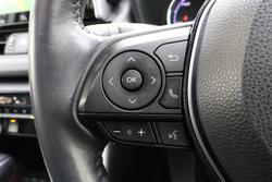 2019 Toyota RAV4 Cruiser