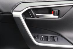 2019 Toyota RAV4 Cruiser