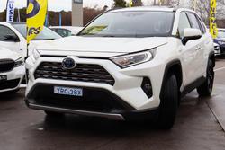 2019 Toyota RAV4 Cruiser