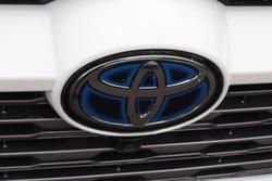 2019 Toyota RAV4 Cruiser